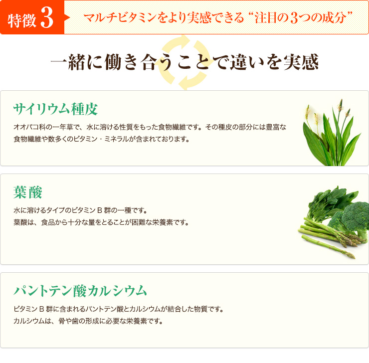 特徴3 マルチビタミンの効果を引き出す”注目の3つの成分”