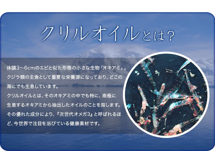 クリルオイル流(Krill Oil RYU)