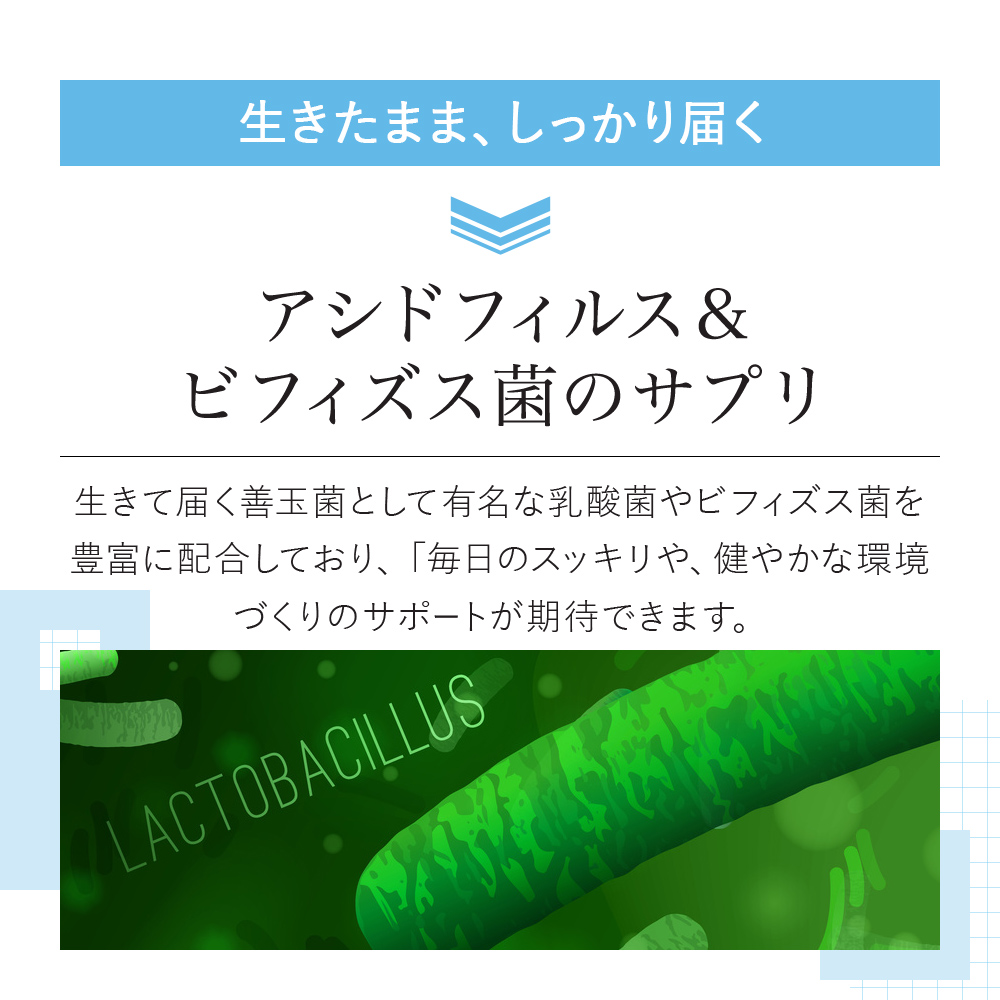 [VitalMe]バイタルミー アシドフィルス＆ビフィズス菌：2