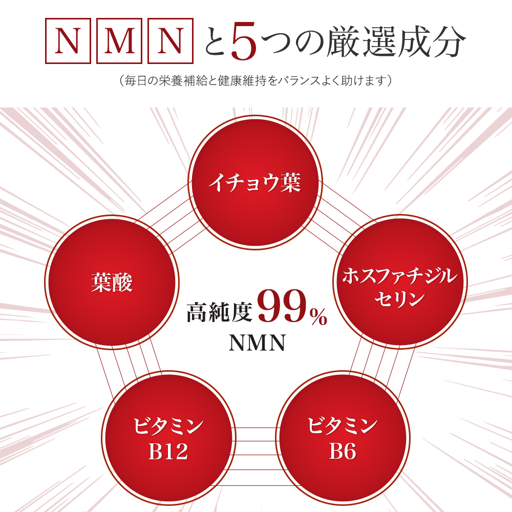 NMNプレミア120錠(バイタルミープレミアム) :2